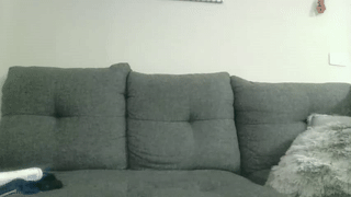 paytondaniel44 animated gif teaser