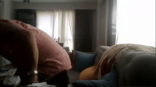 arleymoren animated gif teaser