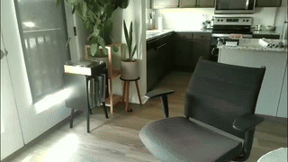 dagofastmilk animated gif teaser
