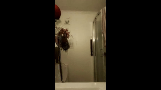 maicolparker0 animated gif teaser
