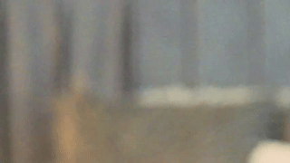 zenith_glow animated gif teaser