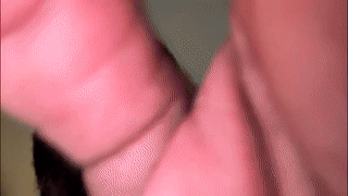 weksamur animated gif teaser