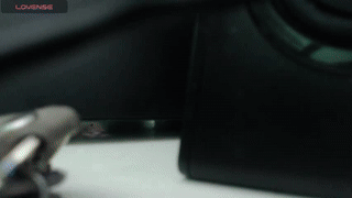 playful_goldie animated gif teaser