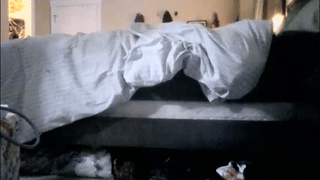 cassieholland animated gif teaser