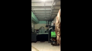 tetra_fire animated gif teaser