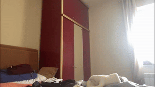 nicolasguy animated gif teaser