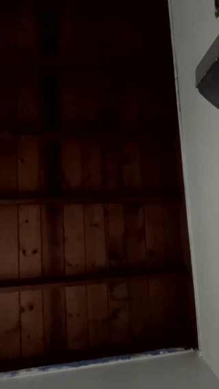 kaledaddee777 animated gif teaser