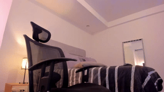 hol15 animated gif teaser