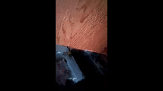dreammr1 animated gif teaser