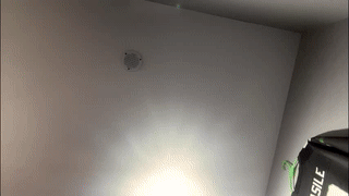 david_col11 animated gif teaser