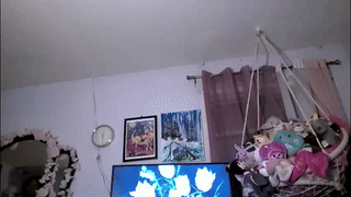 violet6xft animated gif teaser