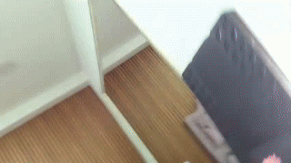 vronnier animated gif teaser