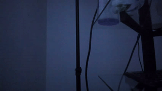 pinoy_oyd69 animated gif teaser