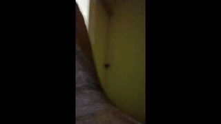 salvatoredamon7 animated gif teaser