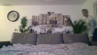 sexnherbs animated gif teaser
