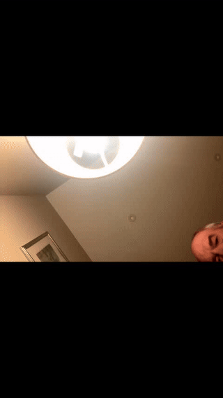 boidady animated gif teaser