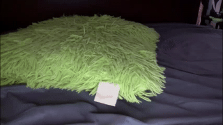 coventinaashfield animated gif teaser