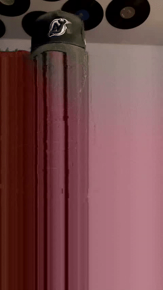 pheellisellis animated gif teaser
