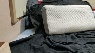 fitguy_01 animated gif teaser