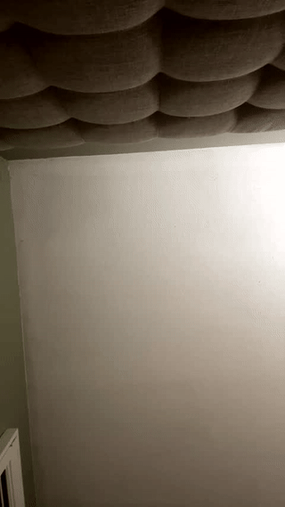 liananas animated gif teaser