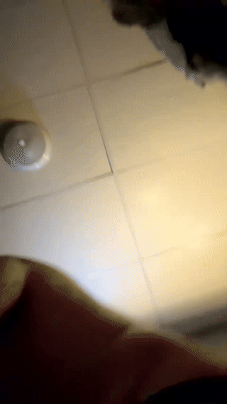 watchmeplay1988 animated gif teaser