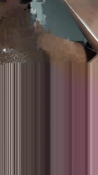 sexxxylibra10 animated gif teaser