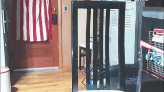 silvrfoxxx animated gif teaser