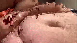 haydenspears animated gif teaser