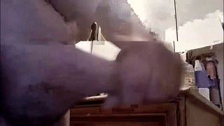 cuatropuntos animated gif teaser