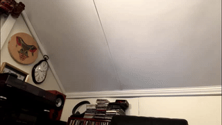 swoozy369 animated gif teaser