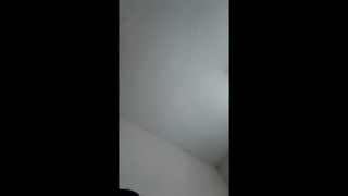 stich_23 animated gif teaser