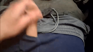 samir_bear animated gif teaser