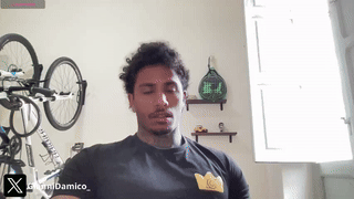 thyleo animated gif teaser