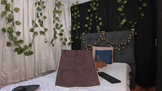 vonen_ray animated gif teaser