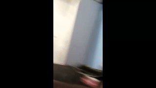 delalex animated gif teaser