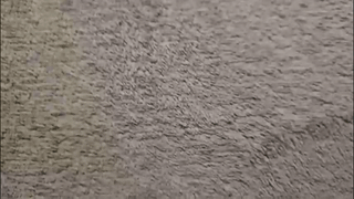 sexual_devils animated gif teaser