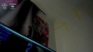 paradise_city__ animated gif teaser