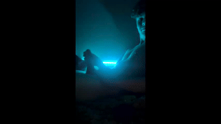 max_dic1 animated gif teaser