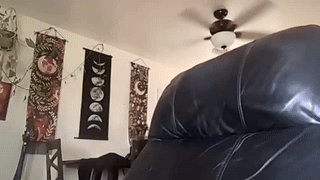 softedge04 animated gif teaser