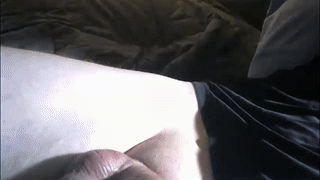 cloudy_pigdude animated gif teaser