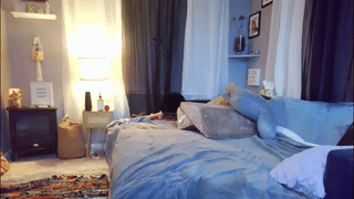 annieandstefan animated gif teaser