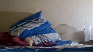 tdave486 animated gif teaser