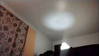 elena_vysotskaya animated gif teaser