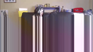 sofia_girl_ animated gif teaser