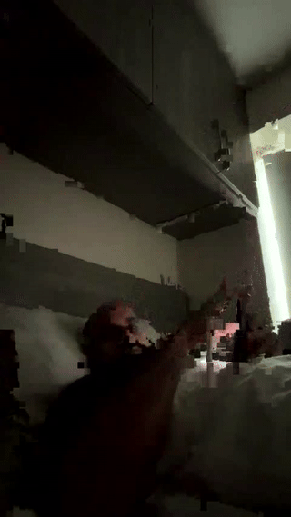 beardgame227 animated gif teaser