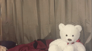 iamjulian_ animated gif teaser