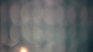 hislilslut6969 animated gif teaser