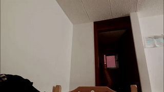 alicia_lang animated gif teaser