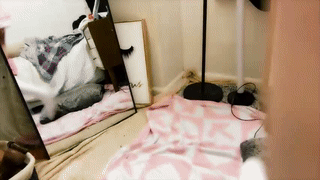 rennygurl animated gif teaser