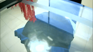 cb8989 animated gif teaser